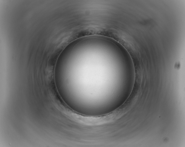 X0000091950034200709131213