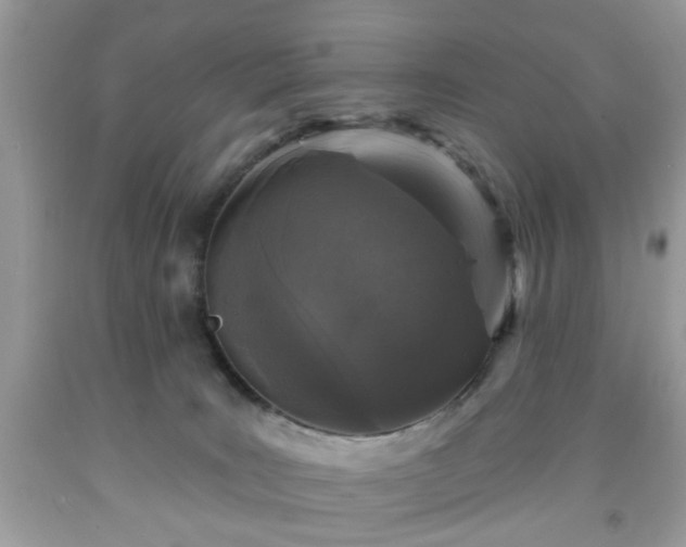 X0000091950035200709131213