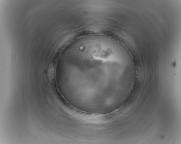 X0000091950036200709131213