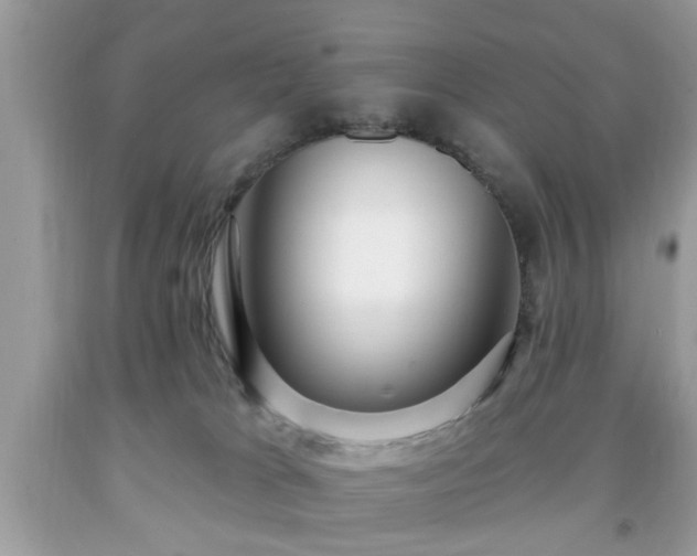 X0000091950037200709131213