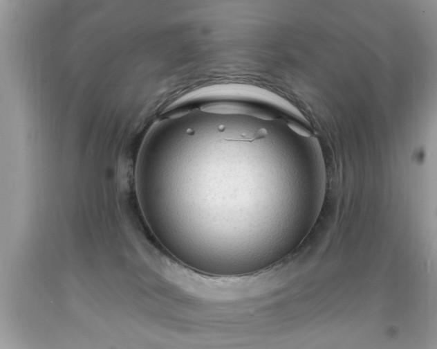 X0000091950038200709131213