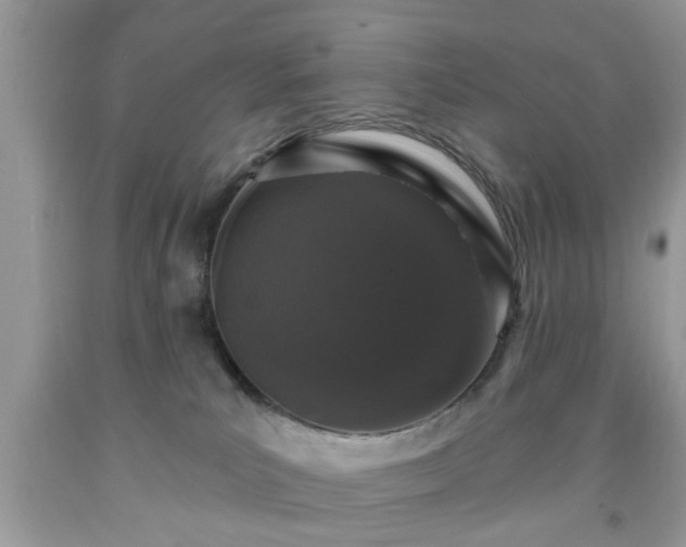 X0000091950039200709131213