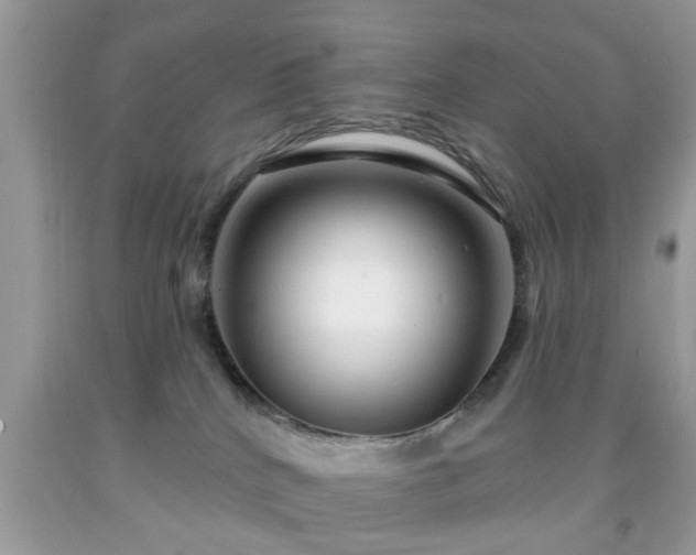 X0000091950040200709131213