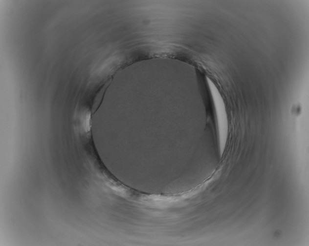 X0000091950041200709131213