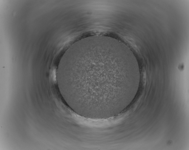 X0000091950042200709131213