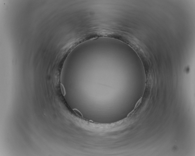 X0000091950043200709131213