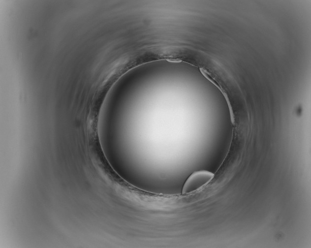 X0000091950044200709131212