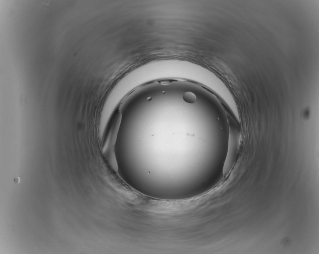 X0000091950045200709131212