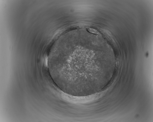 X0000091950046200709131212