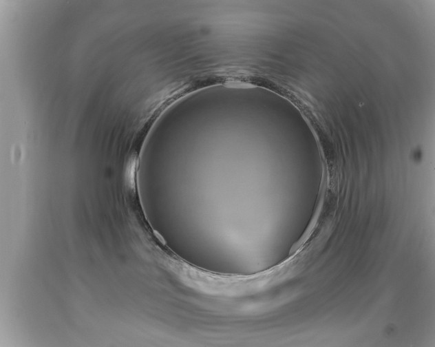 X0000091950047200709131212