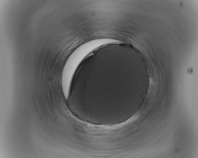 X0000091950048200709131212