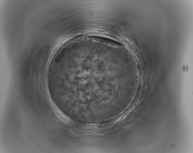 X0000091950049200709131212