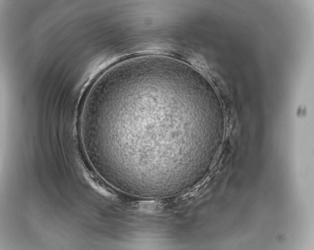 X0000091950050200709131212