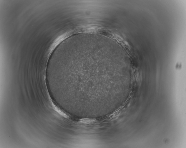 X0000091950051200709131212