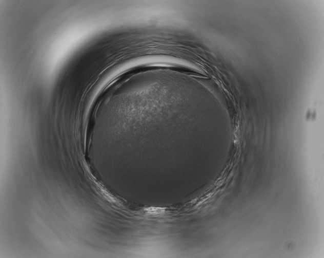 X0000091950052200709131212