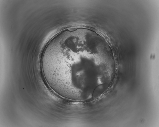 X0000091950053200709131212