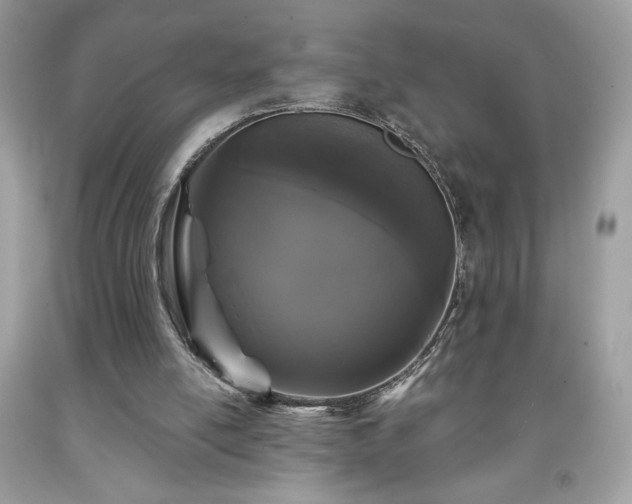 X0000091950054200709131212