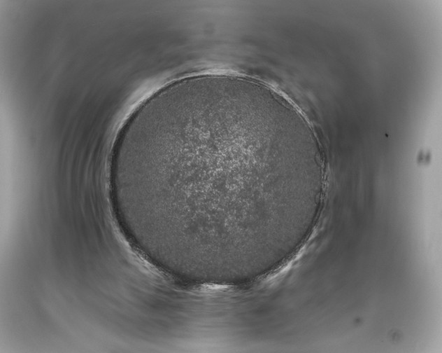 X0000091950055200709131212