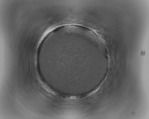 X0000091950056200709131212