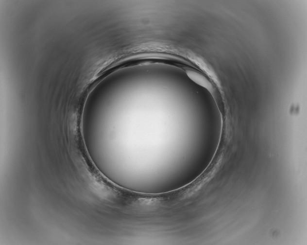 X0000091950057200709131212