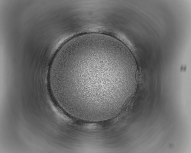 X0000091950058200709131212