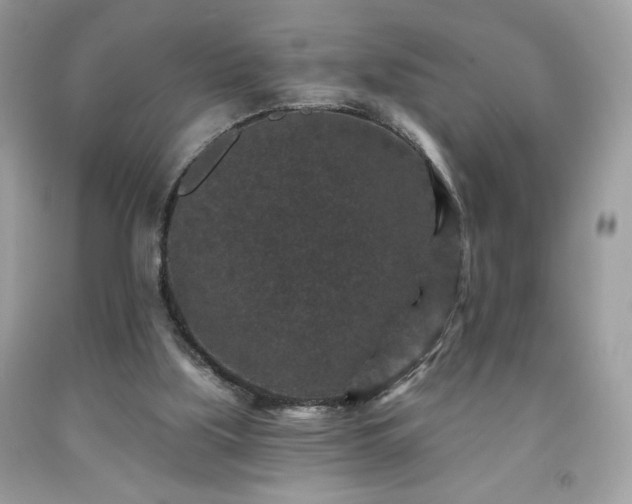 X0000091950059200709131212