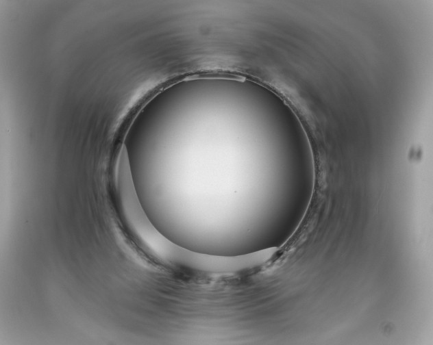 X0000091950060200709131212