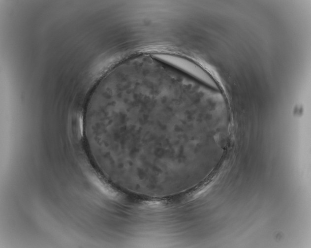 X0000091950061200709131212