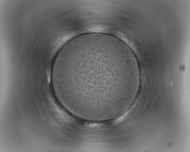 X0000091950062200709131212