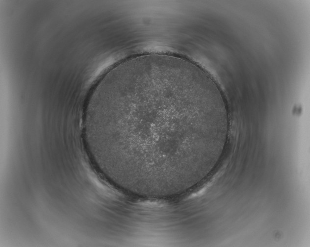 X0000091950063200709131212