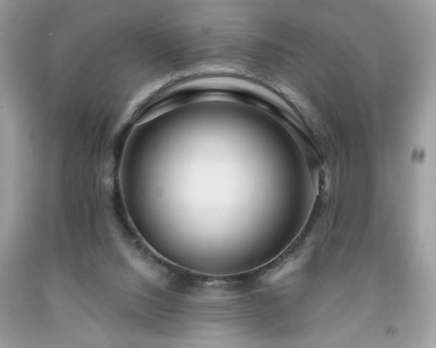 X0000091950064200709131212