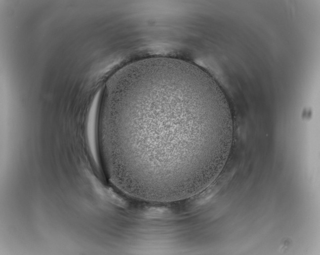 X0000091950066200709131212