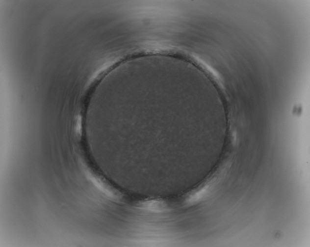 X0000091950067200709131212