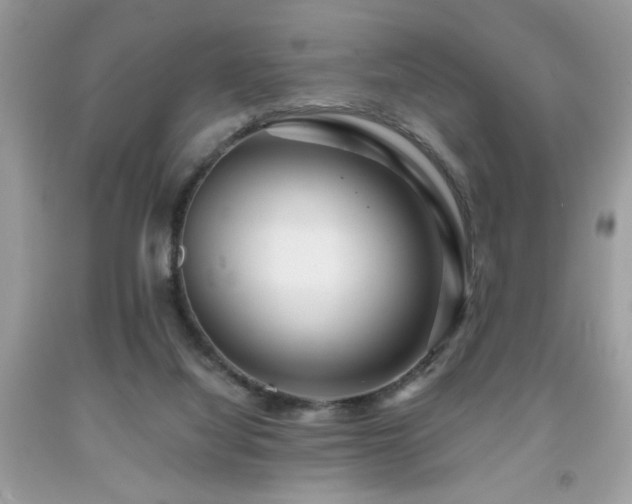 X0000091950068200709131212