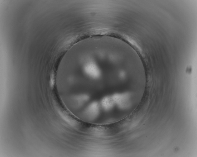 X0000091950069200709131212