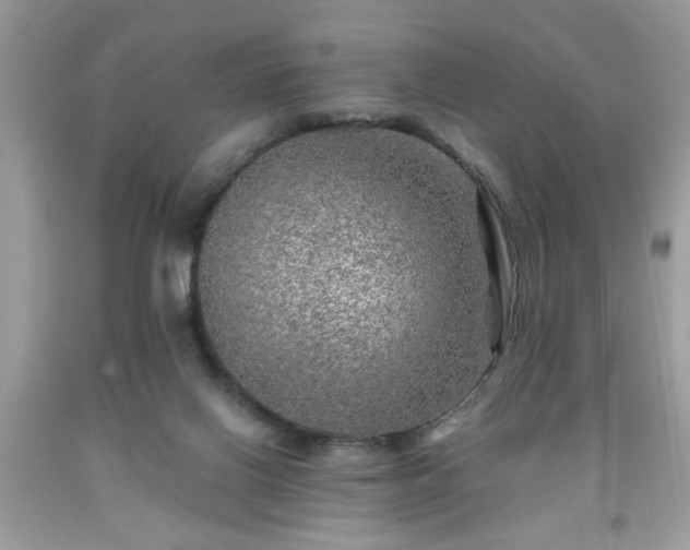 X0000091950070200709131212