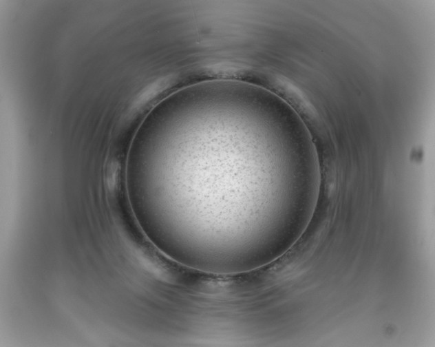 X0000091950071200709131212