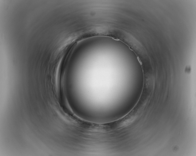 X0000091950072200709131212