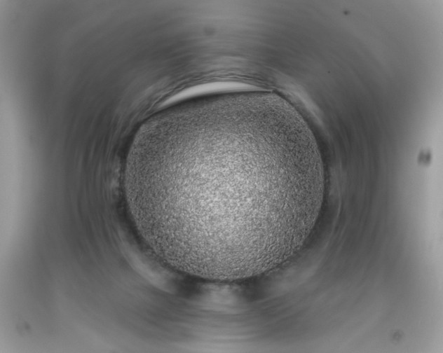 X0000091950073200709131212