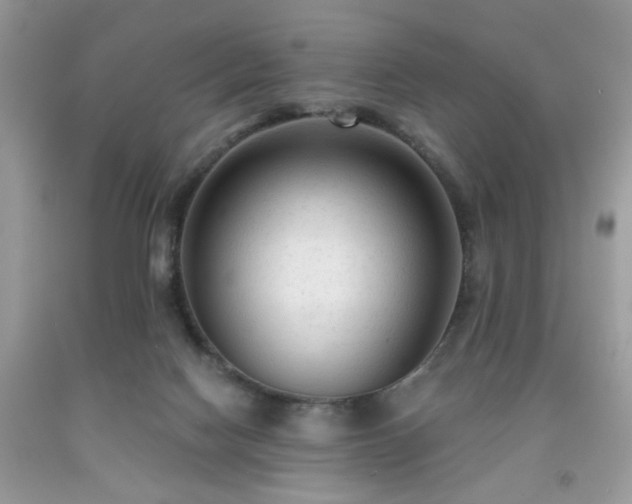 X0000091950074200709131212