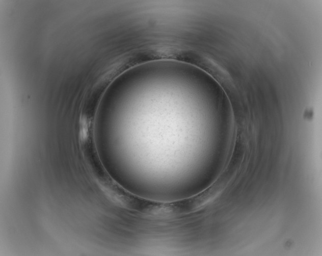 X0000091950075200709131212