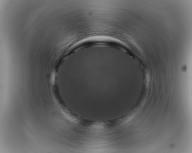 X0000091950076200709131212