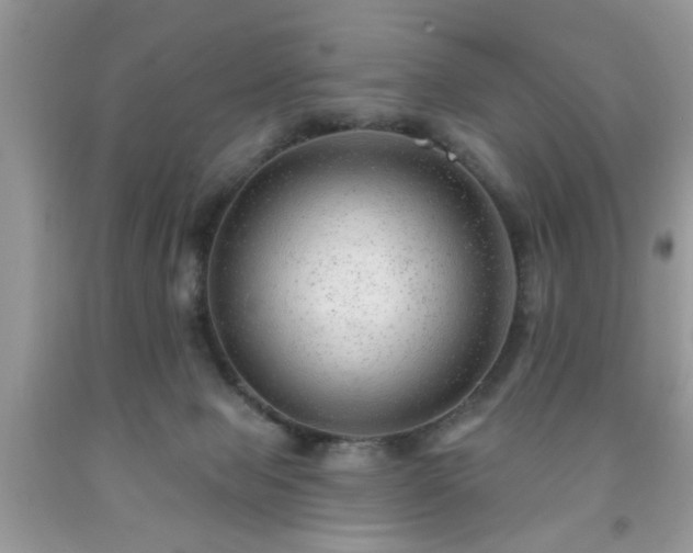 X0000091950077200709131212