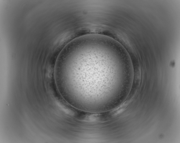 X0000091950078200709131212