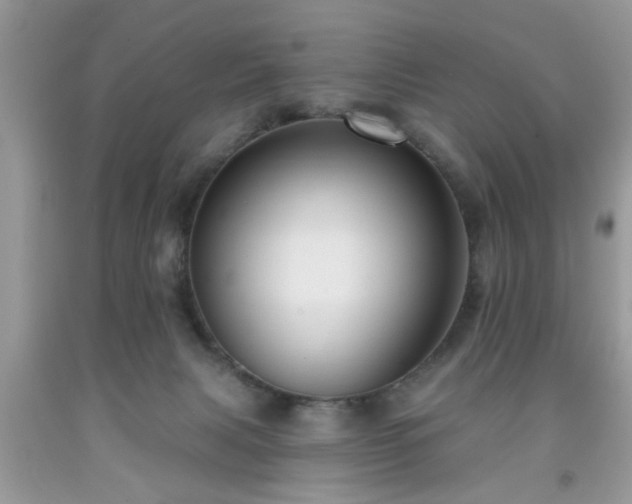 X0000091950079200709131212