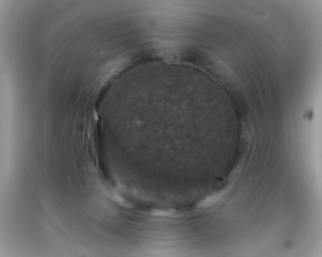 X0000091950080200709131212