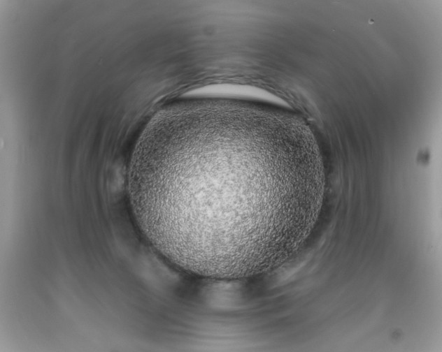 X0000091950081200709131212