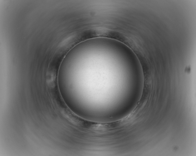 X0000091950082200709131212