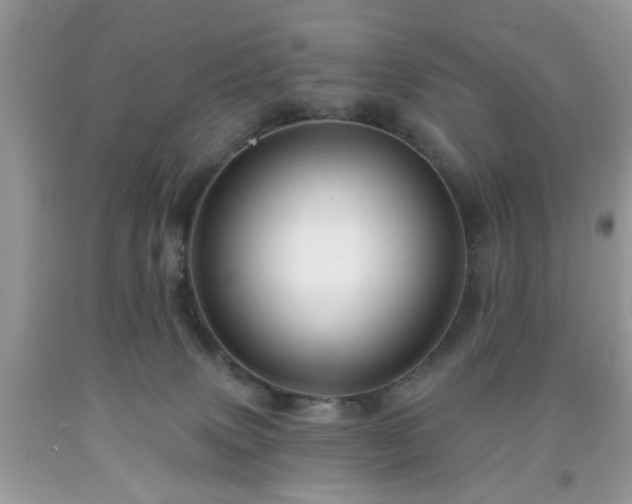 X0000091950083200709131212