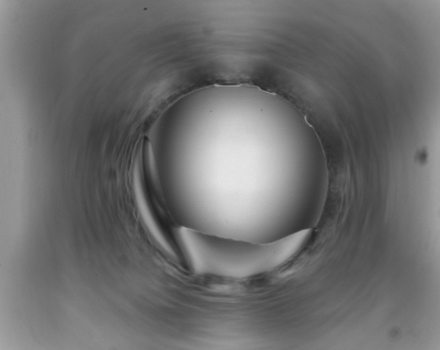 X0000091950084200709131212